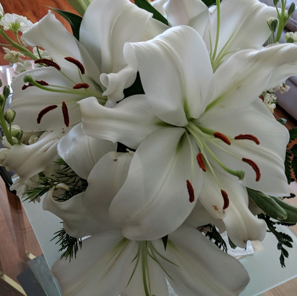 Meet your Posher, Beverly